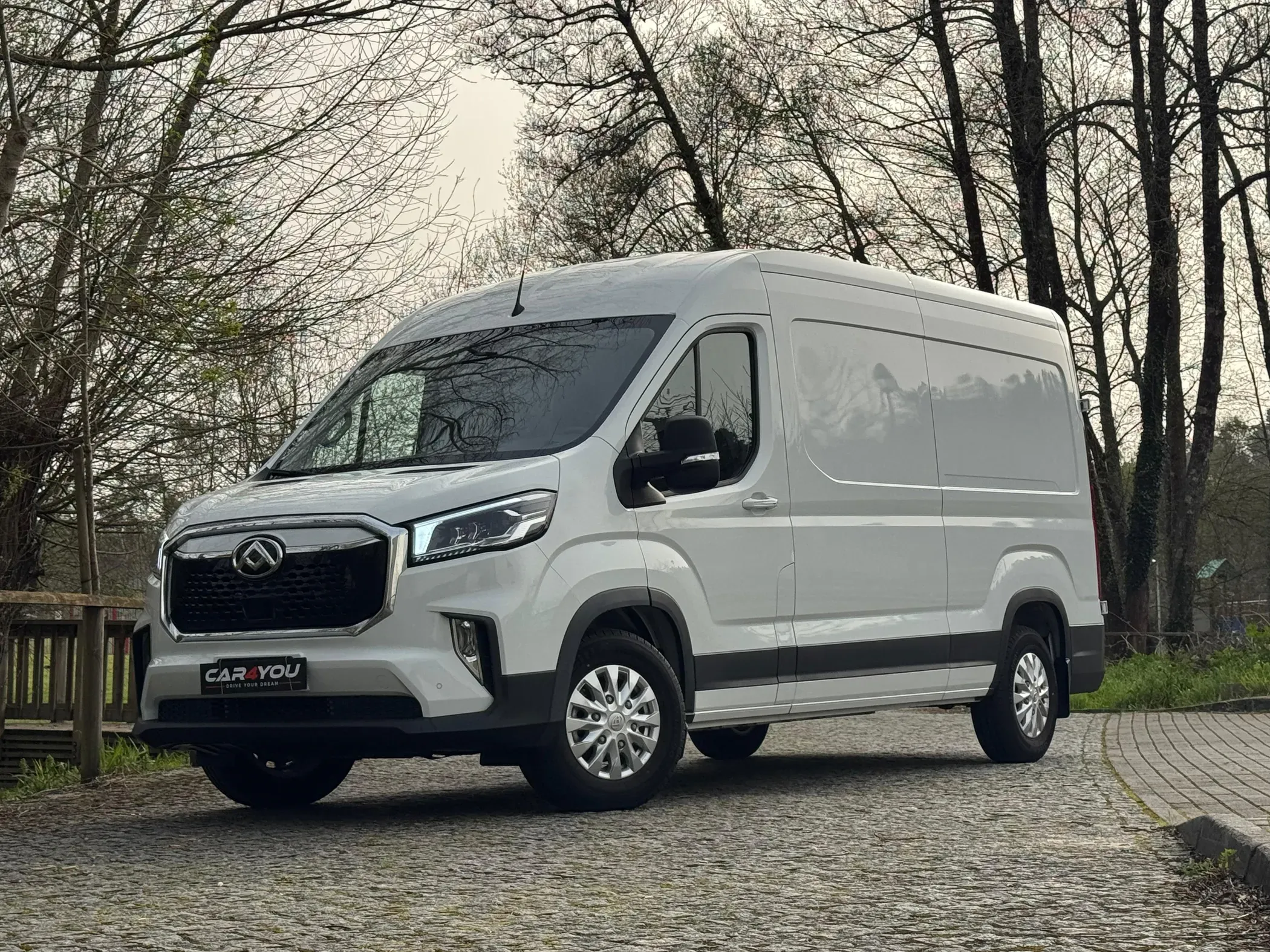 
								Maxus eDeliver full									