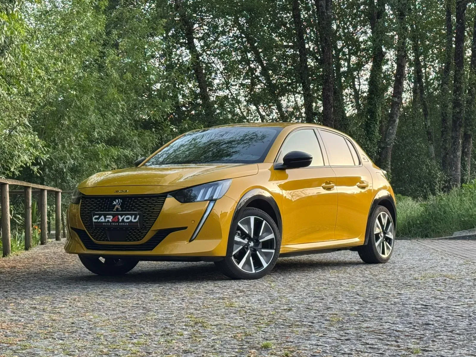 
								Peugeot e-208 full									