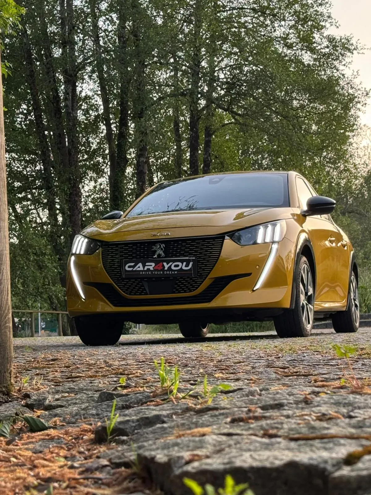 
								Peugeot e-208 full									