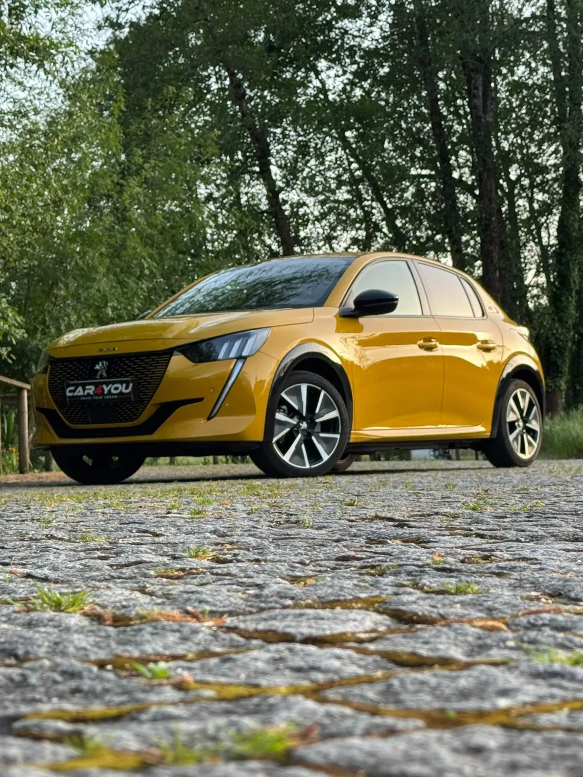 
								Peugeot e-208 full									