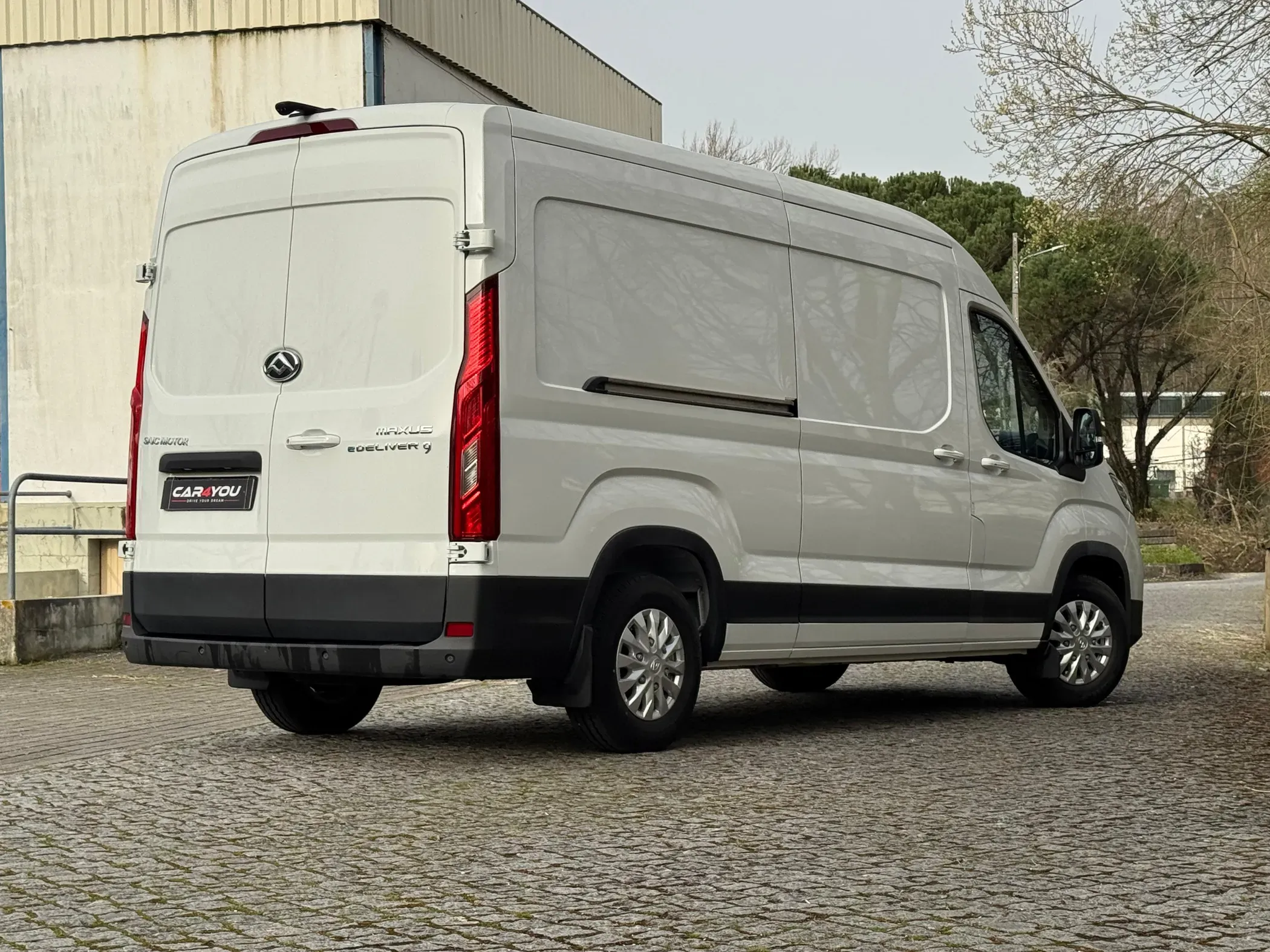 
								Maxus eDeliver full									