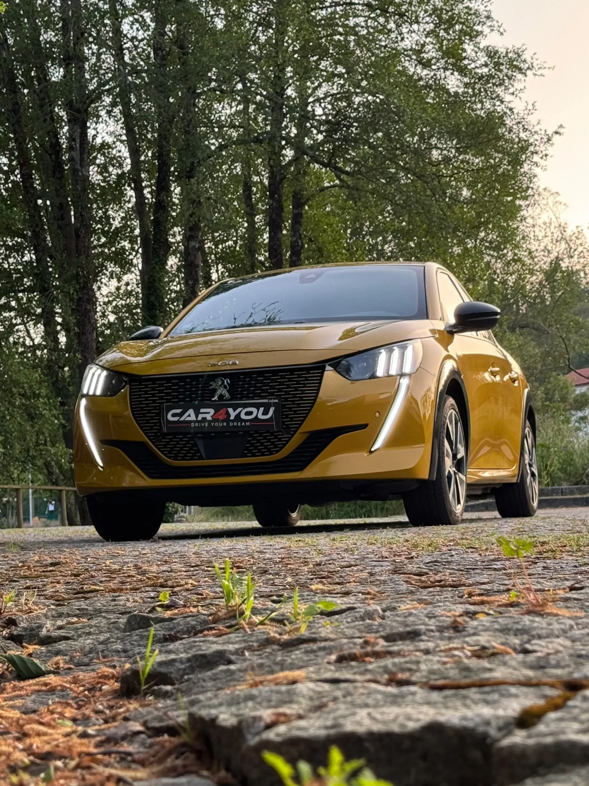 
								Peugeot e-208 full									