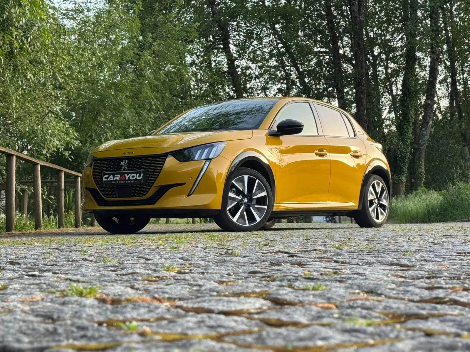 
								Peugeot e-208 full									