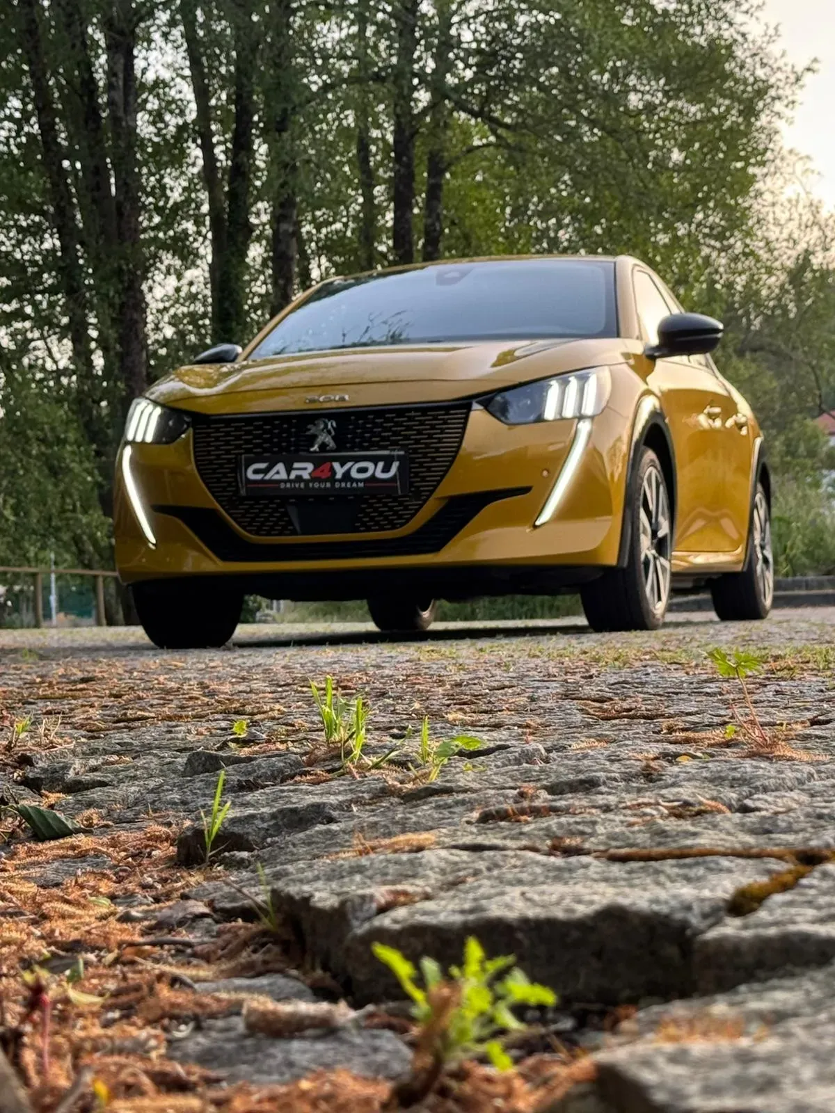 
								Peugeot e-208 full									
