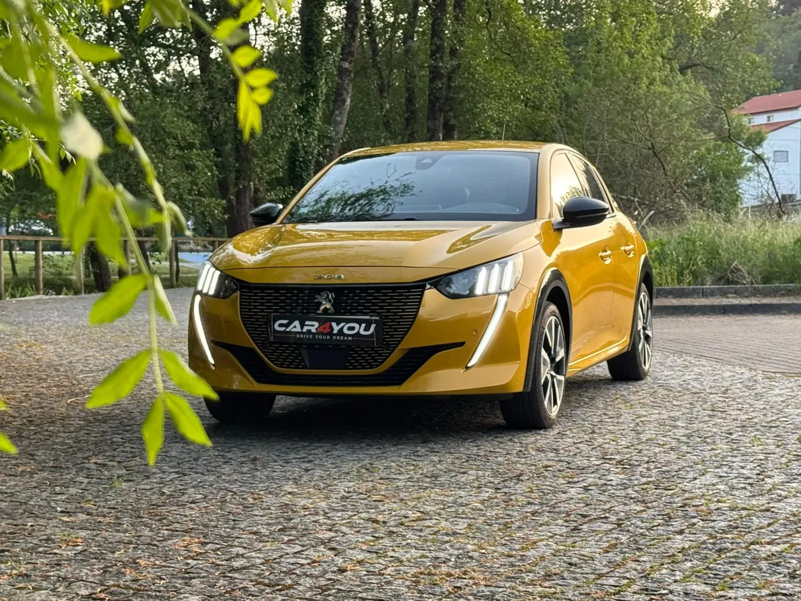 
								Peugeot e-208 full									