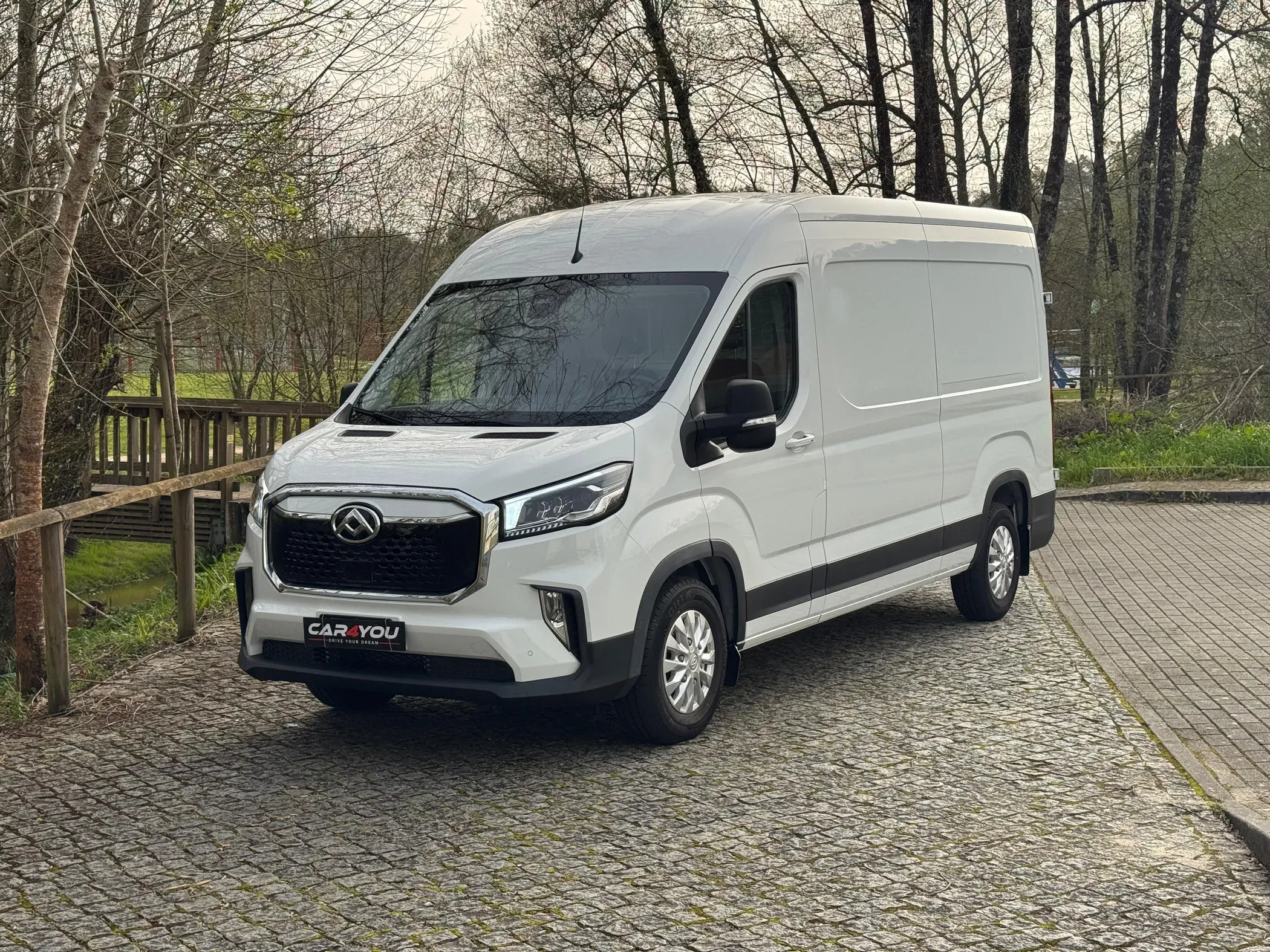 
								Maxus eDeliver full									