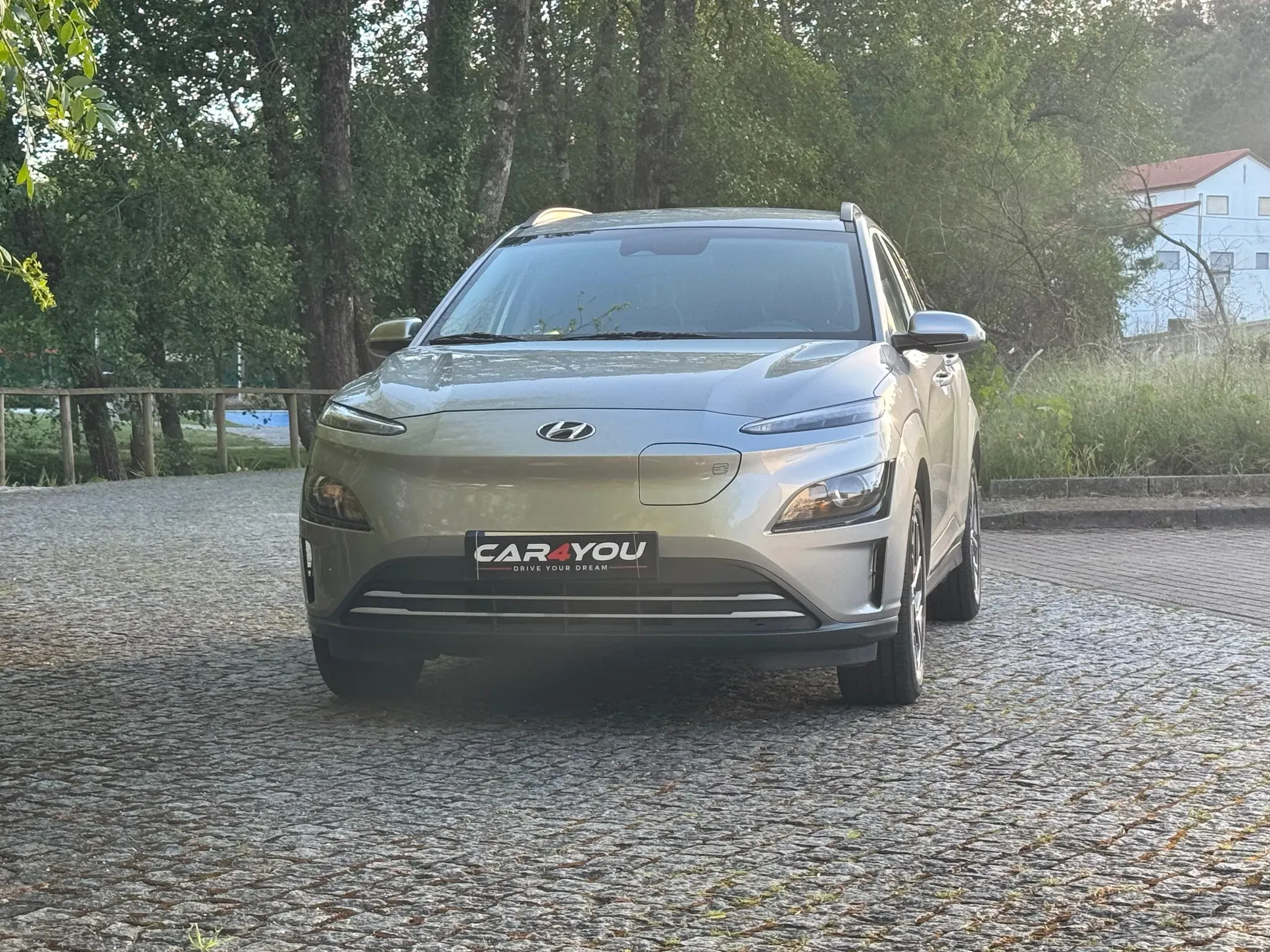 
								Hyundai Kauai full									