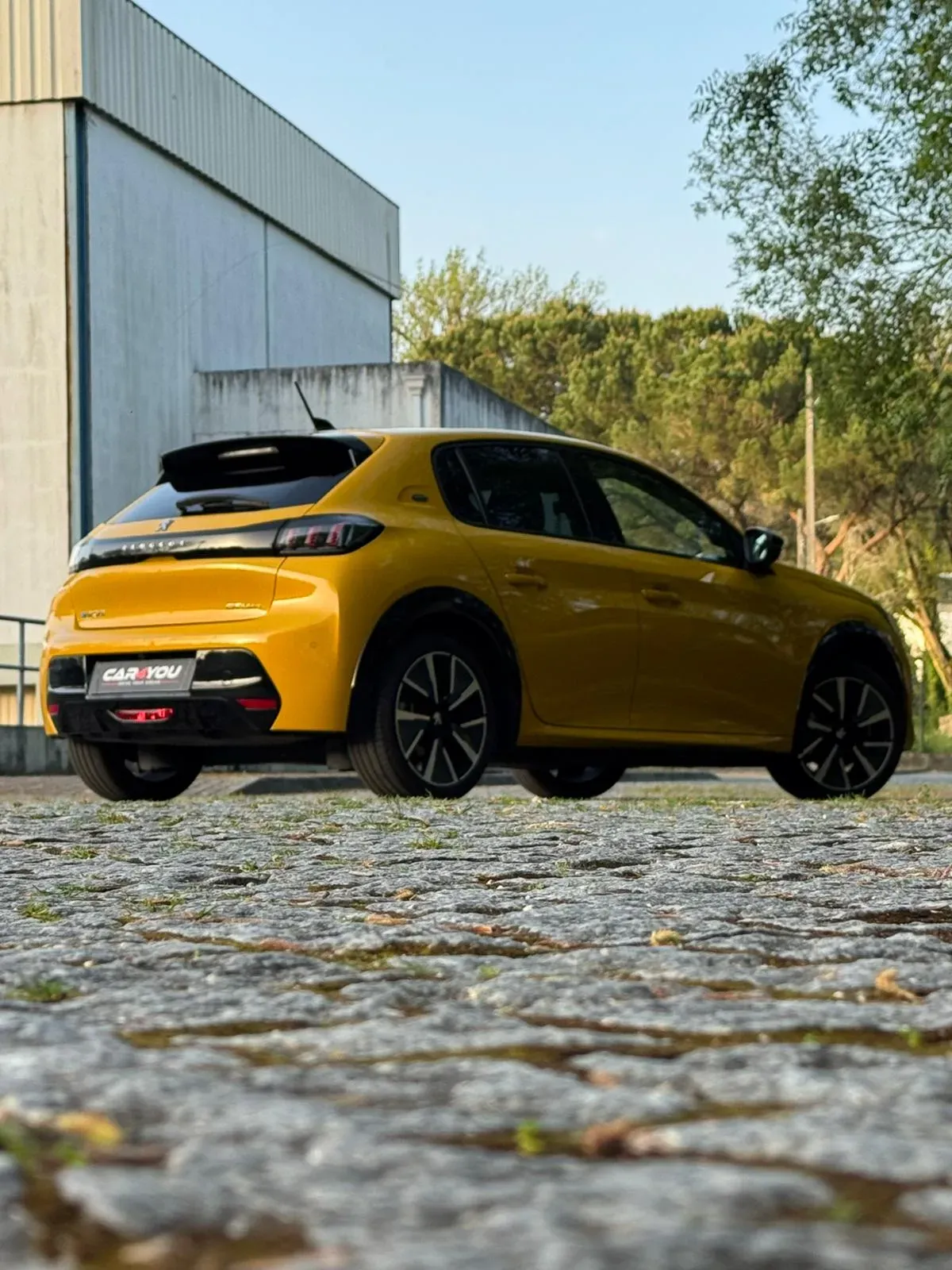 
								Peugeot e-208 full									