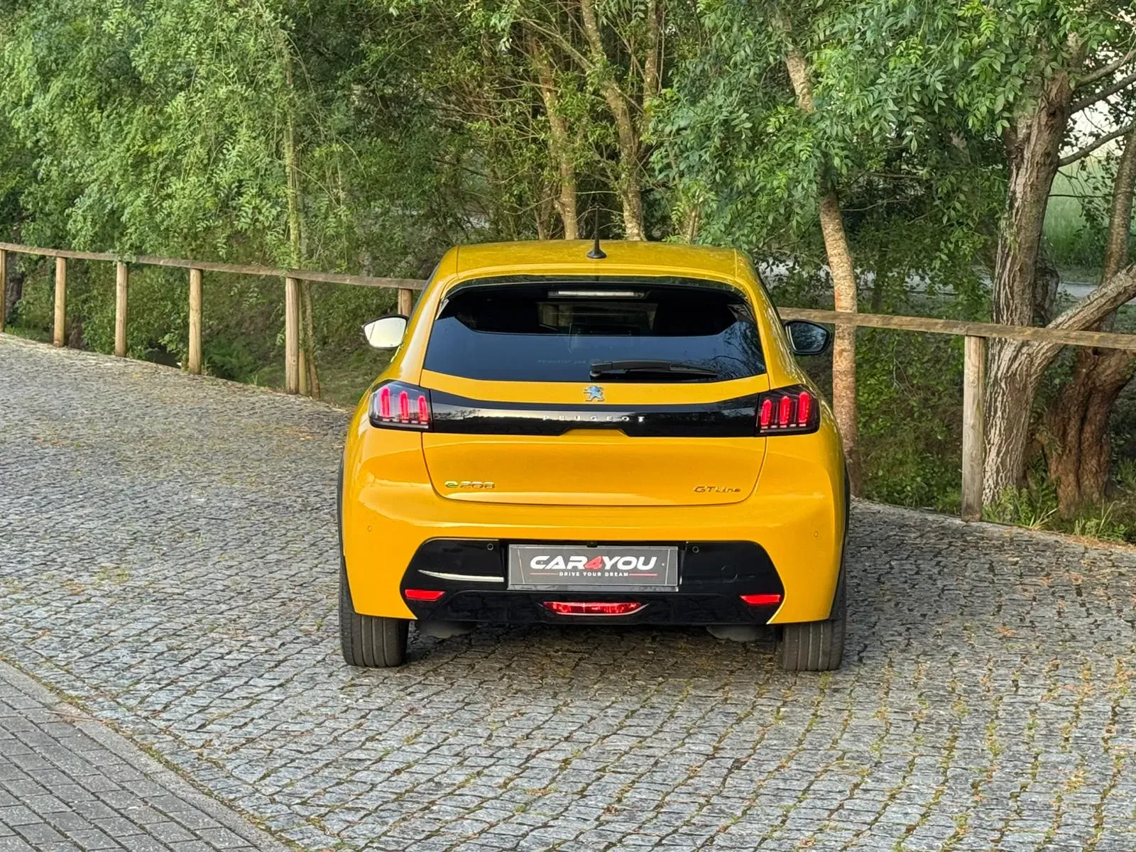 
								Peugeot e-208 full									