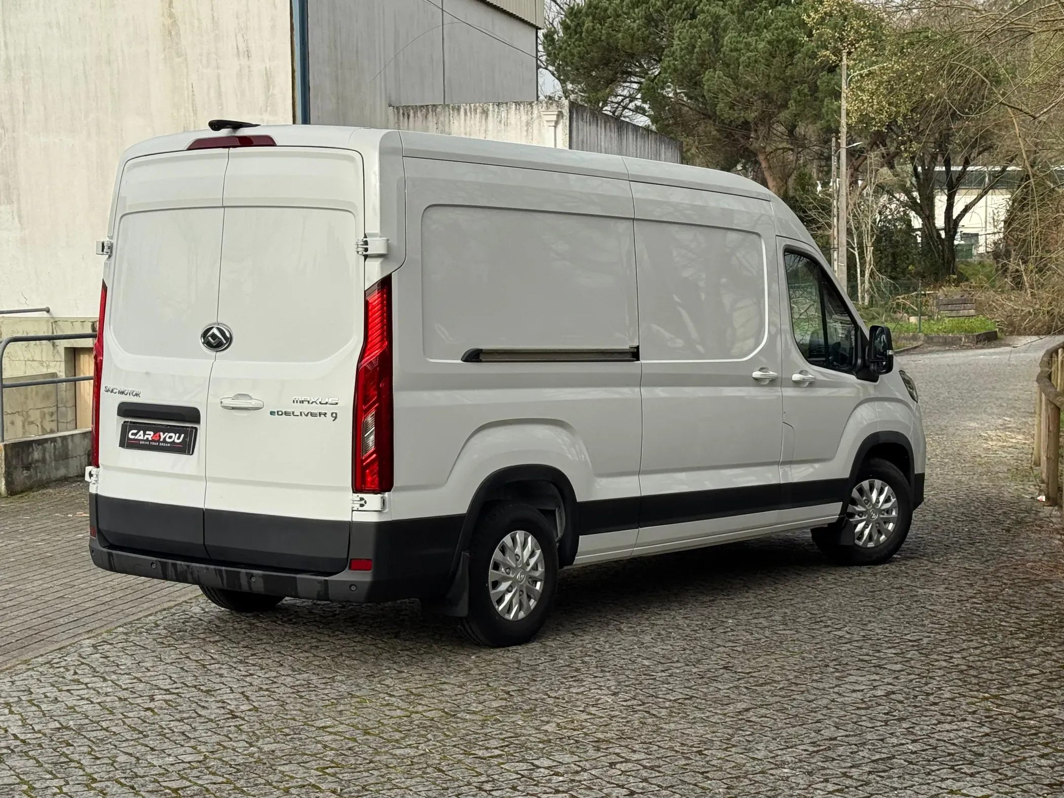 
								Maxus eDeliver full									
