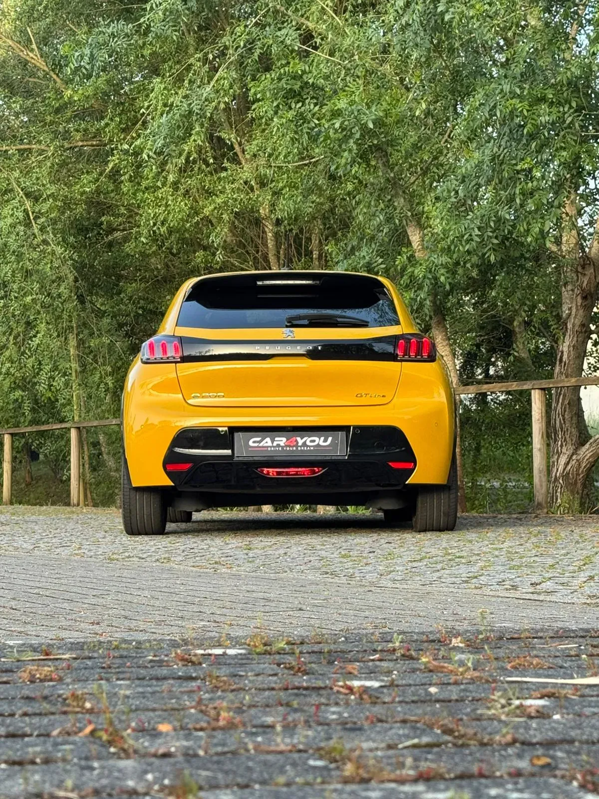 
								Peugeot e-208 full									