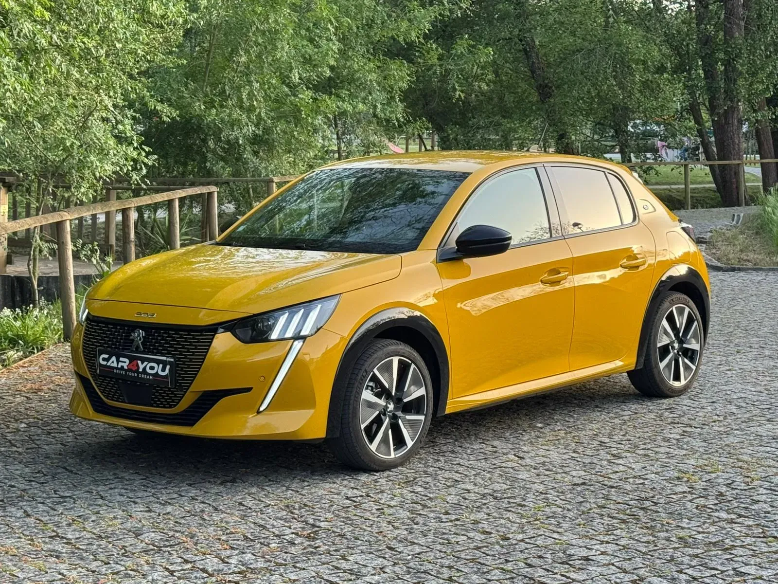 
								Peugeot e-208 full									