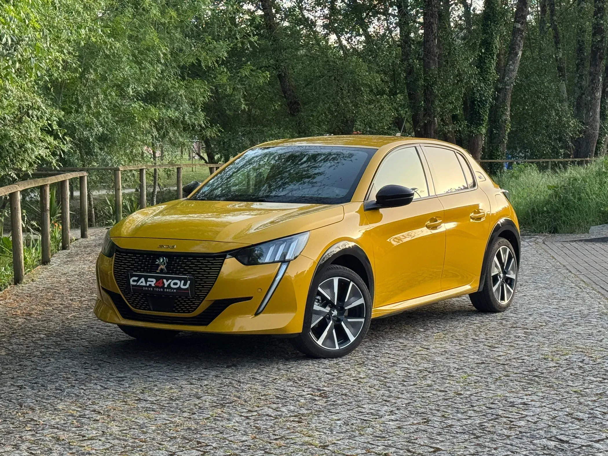 
								Peugeot e-208 full									