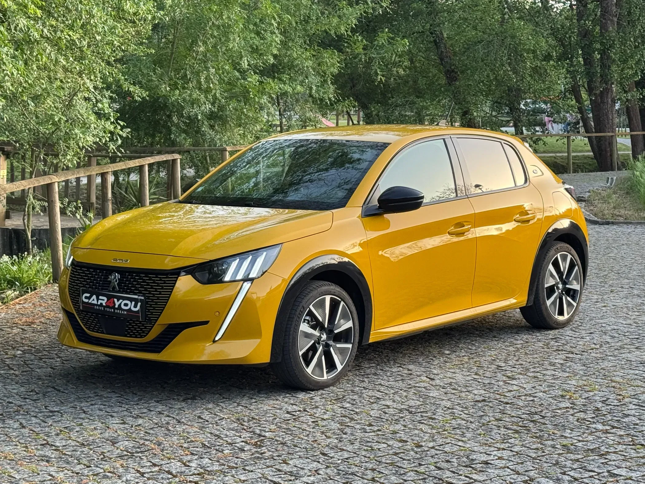 
								Peugeot e-208 full									