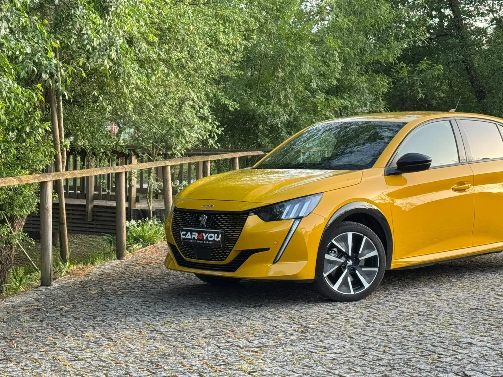 
								Peugeot e-208 full									